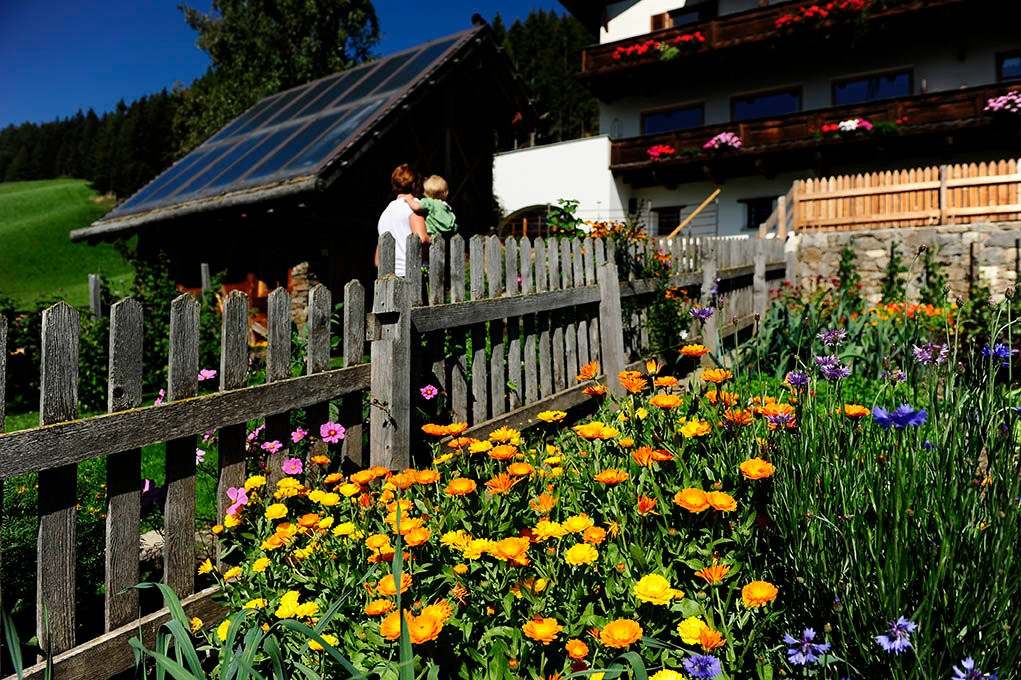 Hotel Naturoase Schwemmerhof主图