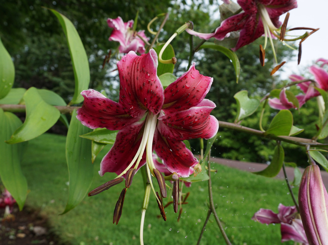 Fox Harb'r Resort主图