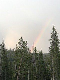 State Forest State Park景点图片