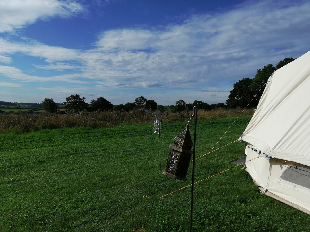 New Hall Farm Touring Park