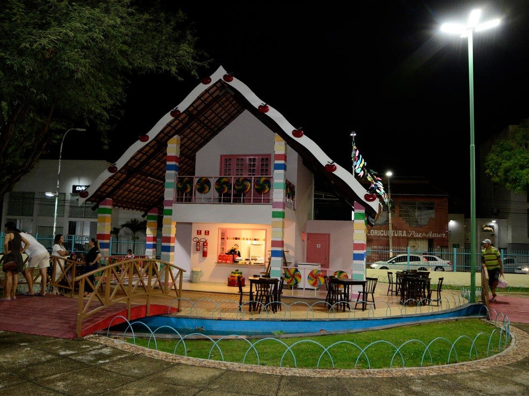 Parque da Crianca景点图片