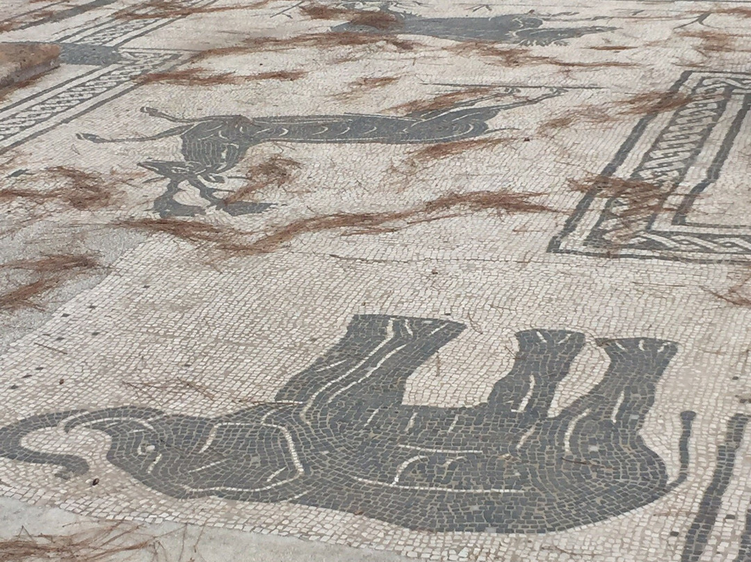 Ostia Tours - Ostia Antica Tours-Ostia Antica必去景点
