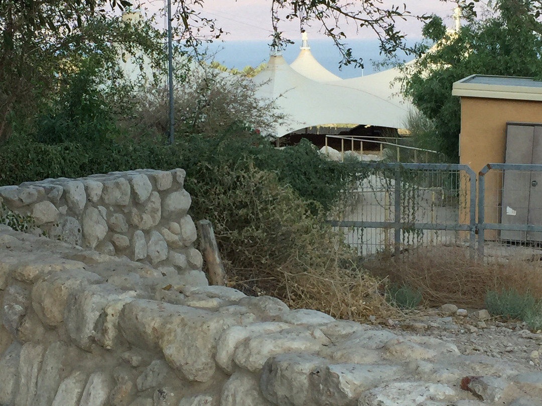 Ein Gedi Synagogue-恩戈地必去景点