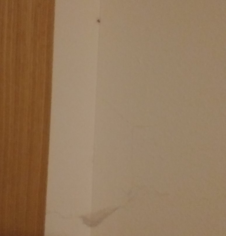 ApartHotel MM Badajoz主图