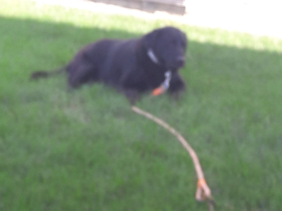 My Place Hotel-Nashville East/Lebanon, TN主图