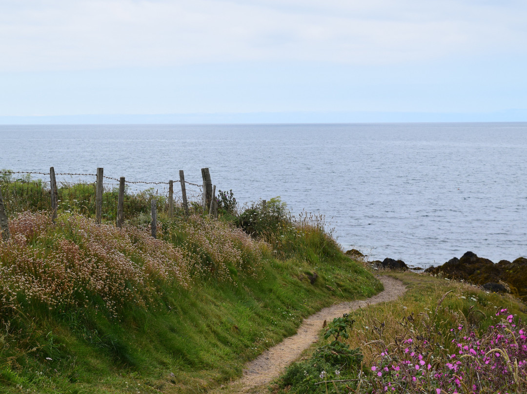 Barclodiad Y Gawres Chambered Tomb景点图片