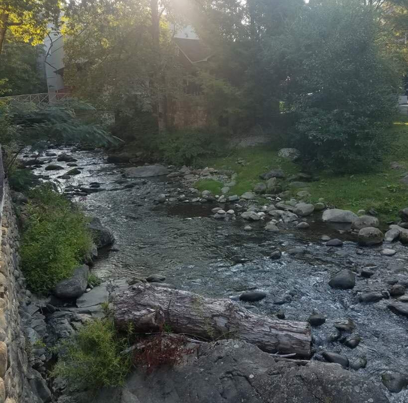 Zoder's Inn & Suites主图