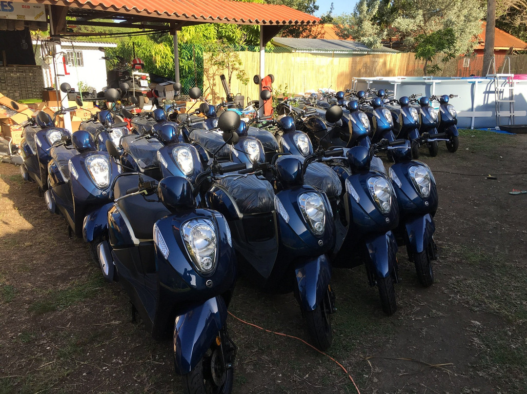 Scooter Huren Curacao景点图片