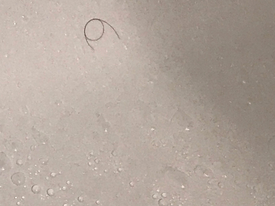 落基山希尔顿恒庭酒店主图