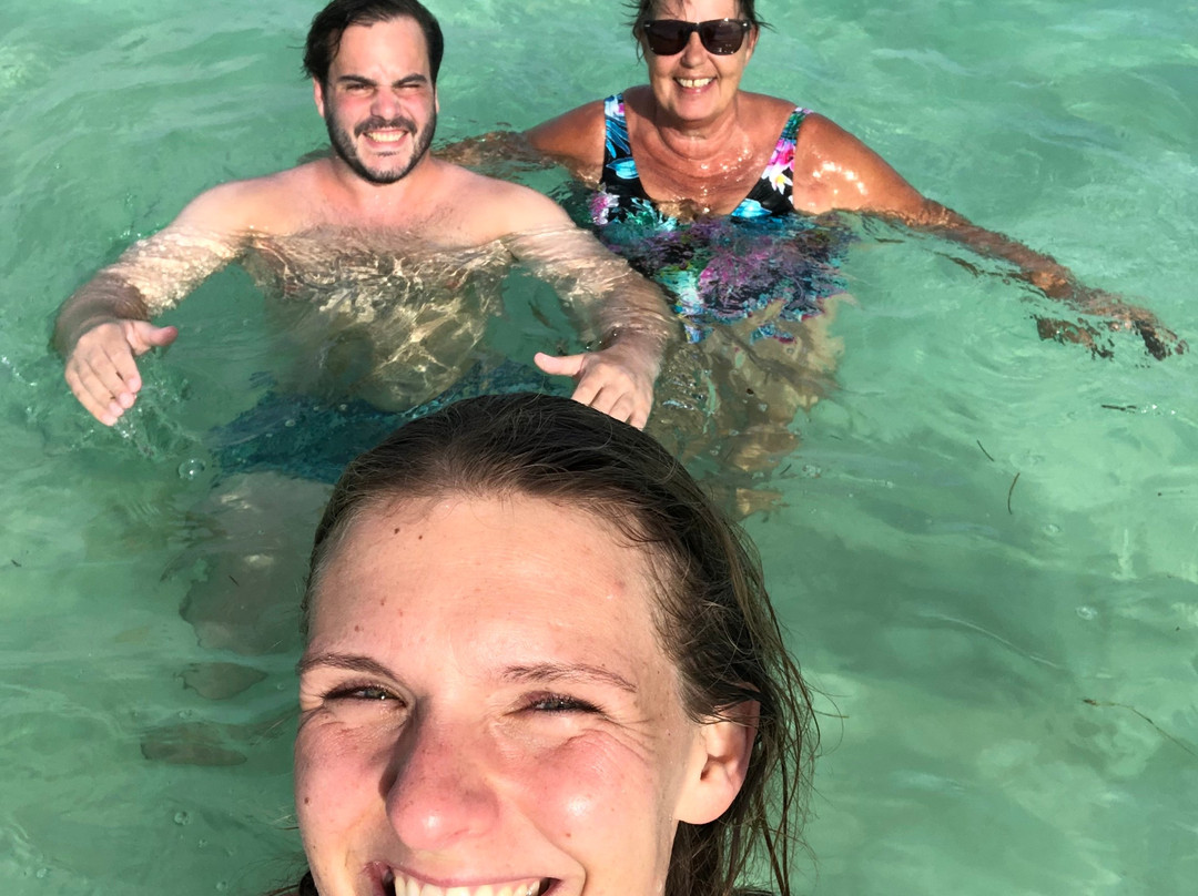 Serenidad Shardon主图