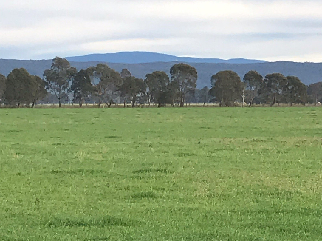 Gippsland Plains Scenic Drive-特拉拉尔根必去景点