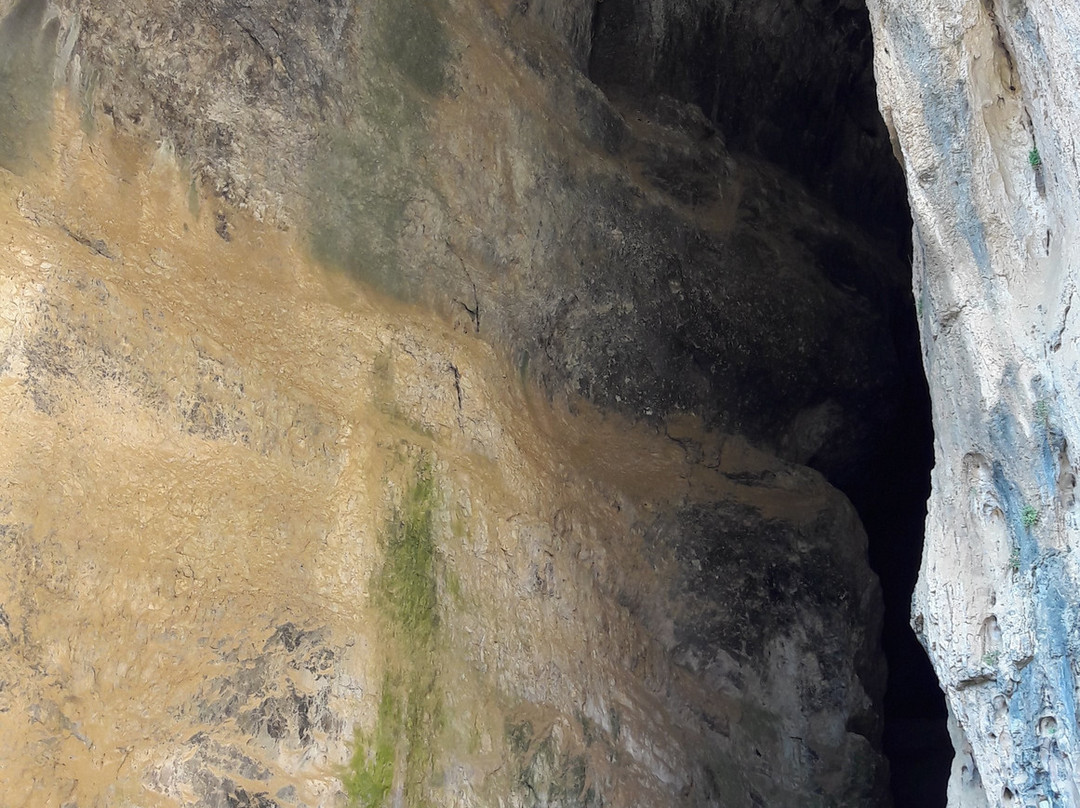 Cuevas de San Bartolome景点图片