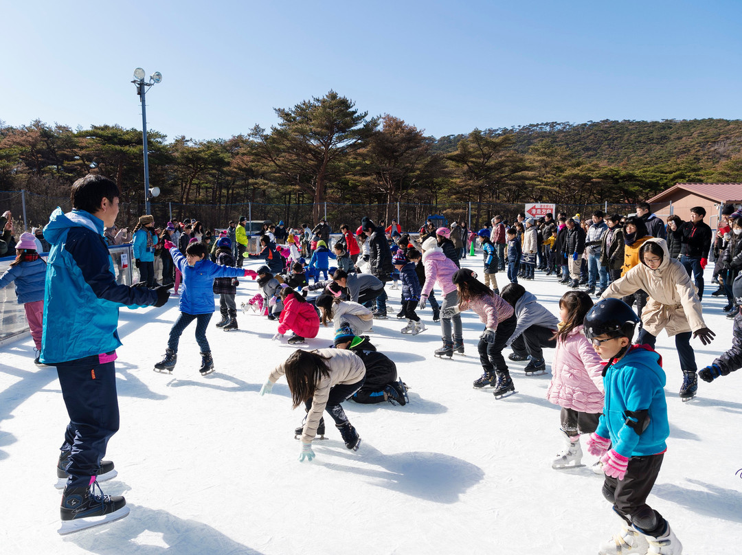 Ebino Kogen Artificial Ice Rink-虾野市必去景点