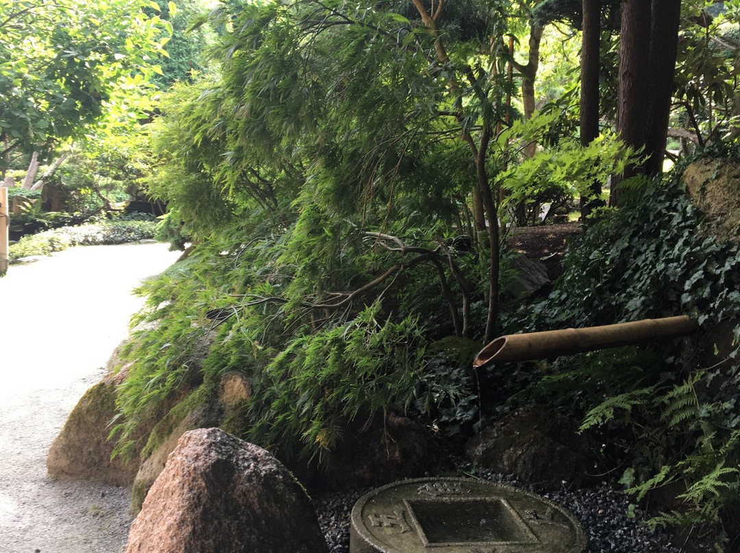 Japanese Garden-Jarkow必去景点