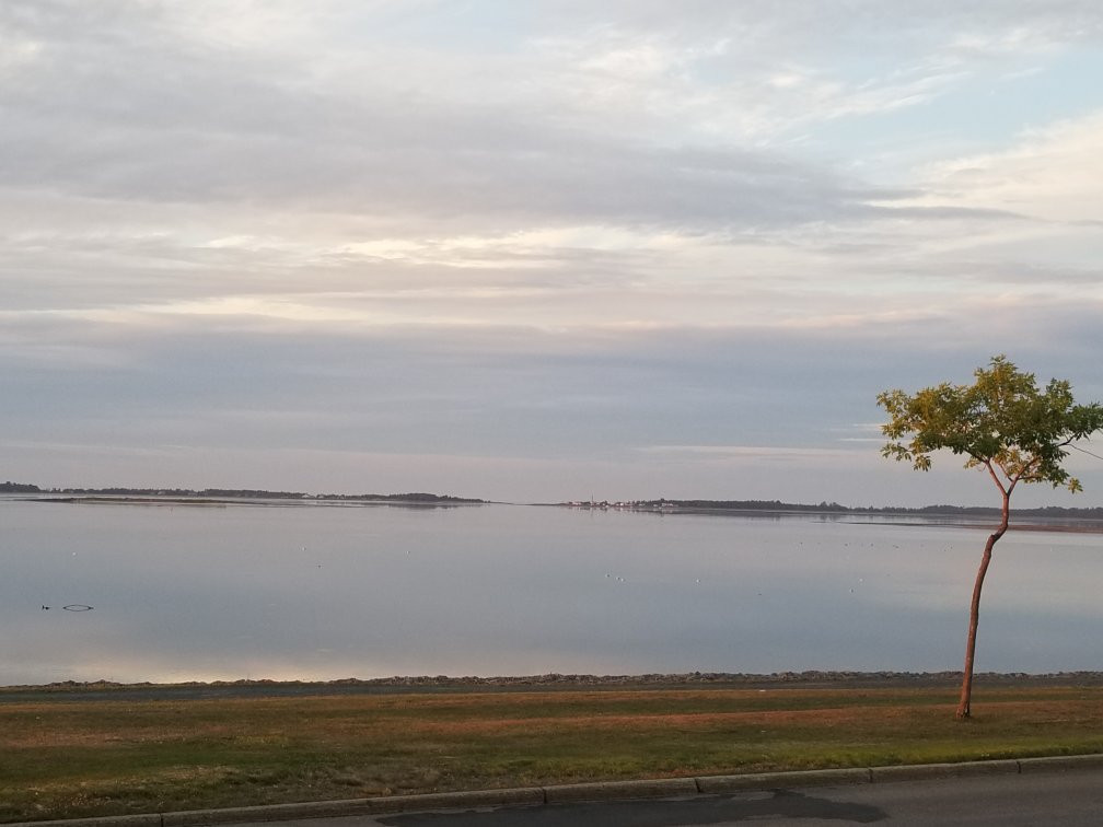 13 Barrels Brewing Company-Bathurst必去景点