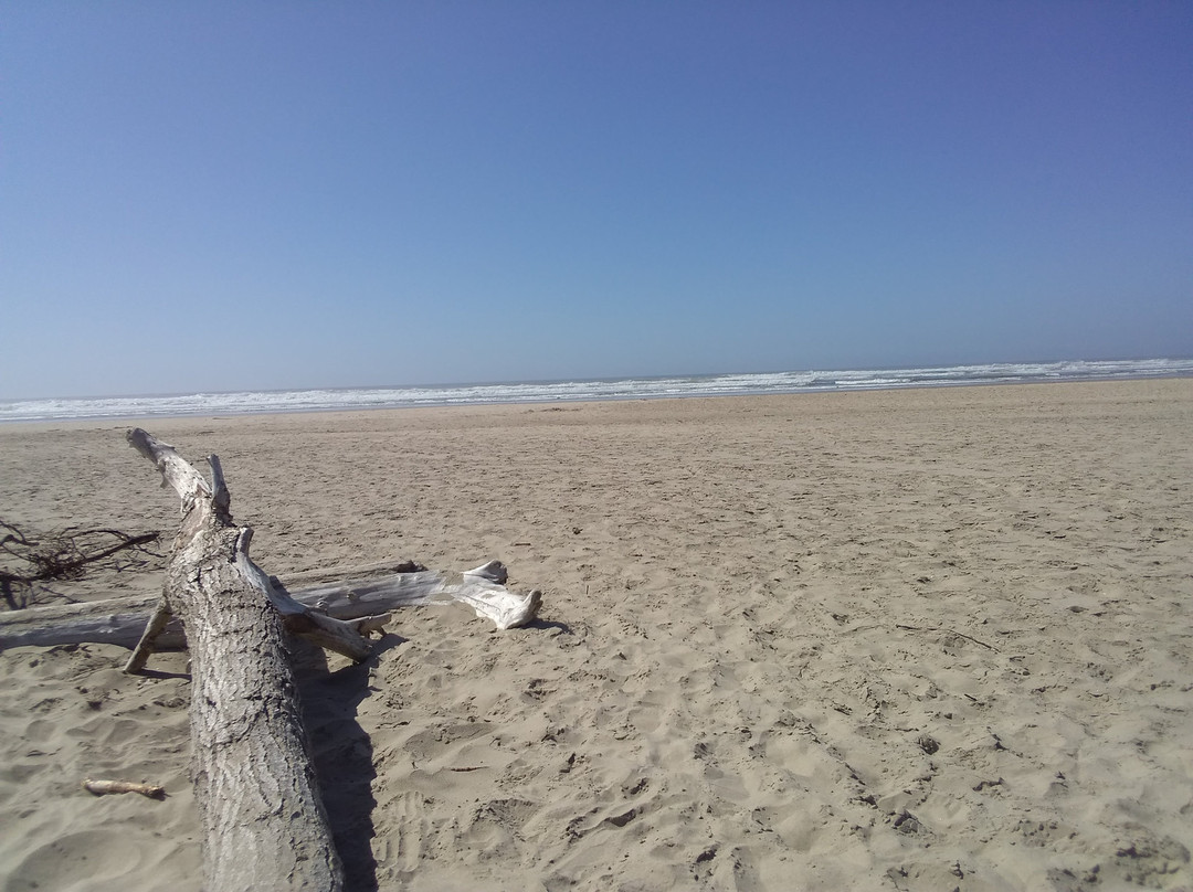 Ona Beach State Park-纽波特必去景点