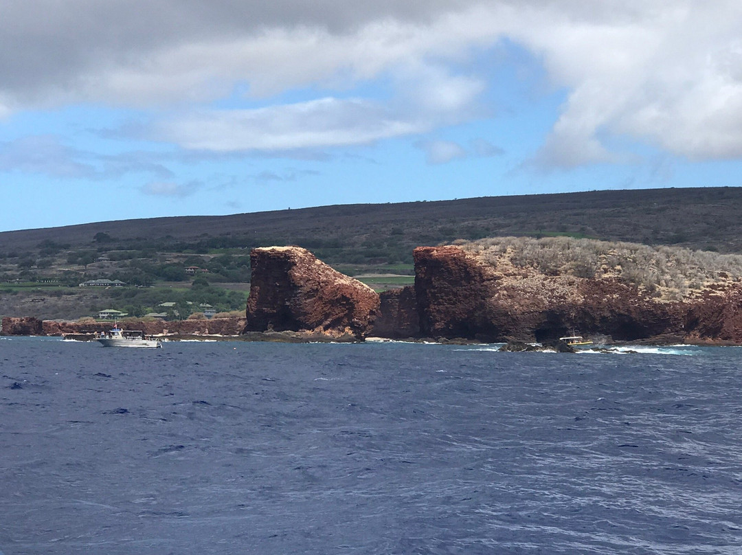 Molokini and Lanai Snorkeling Day Tour-怀露库必去景点