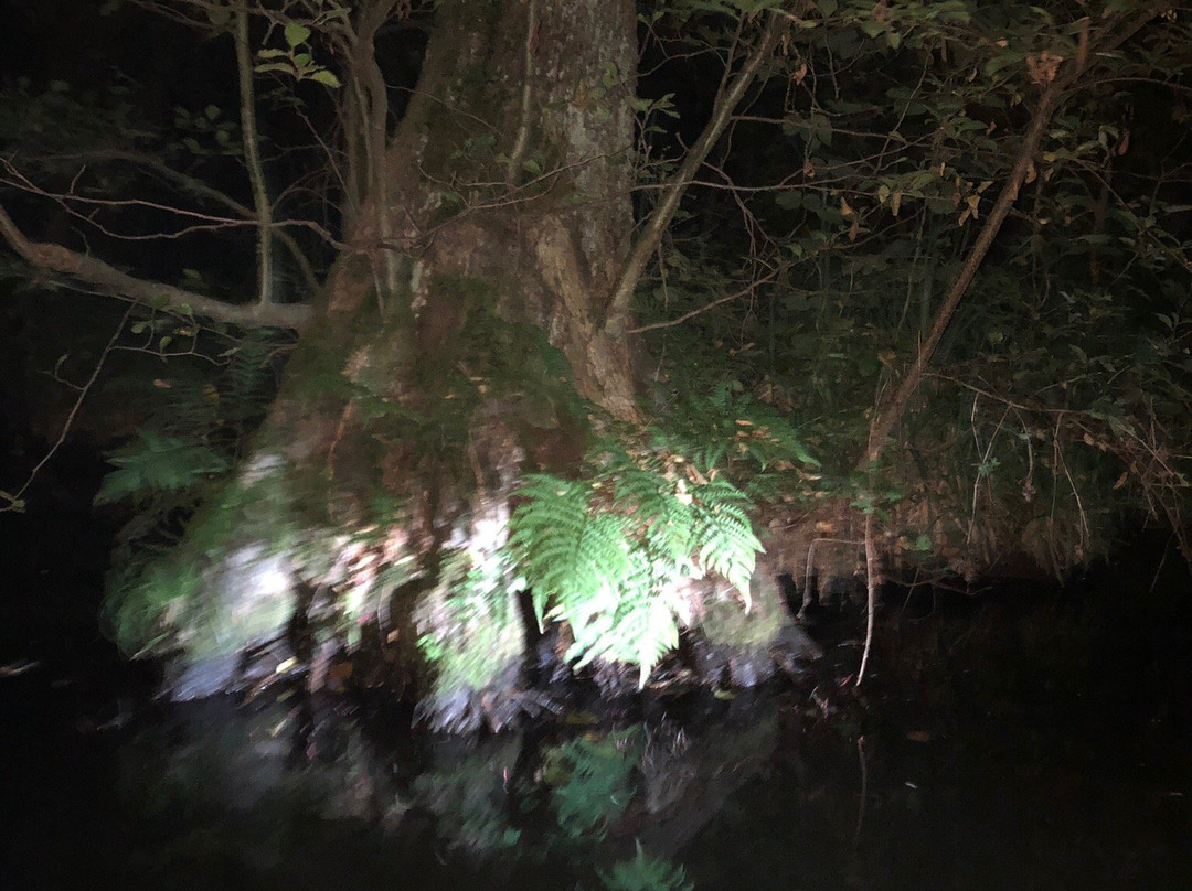 Radduscher Naturhafen-Vetschau必去景点