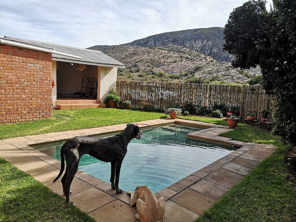 Dorschfontein Guest Farm主图