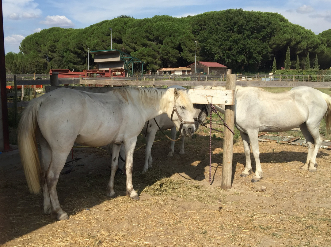 Annie Poney Club景点图片