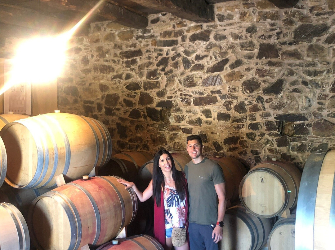 Bodegas Pittacum-Arganza必去景点