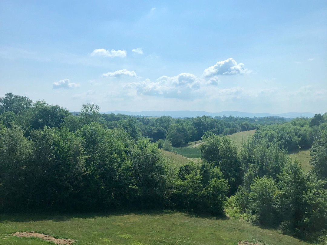 老弗吉尼亚旅馆主图