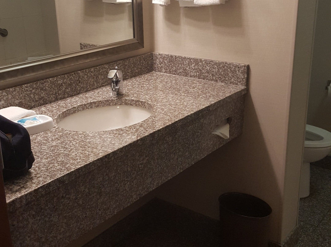 德鲁里套房酒店-环球奥兰多度假村主图