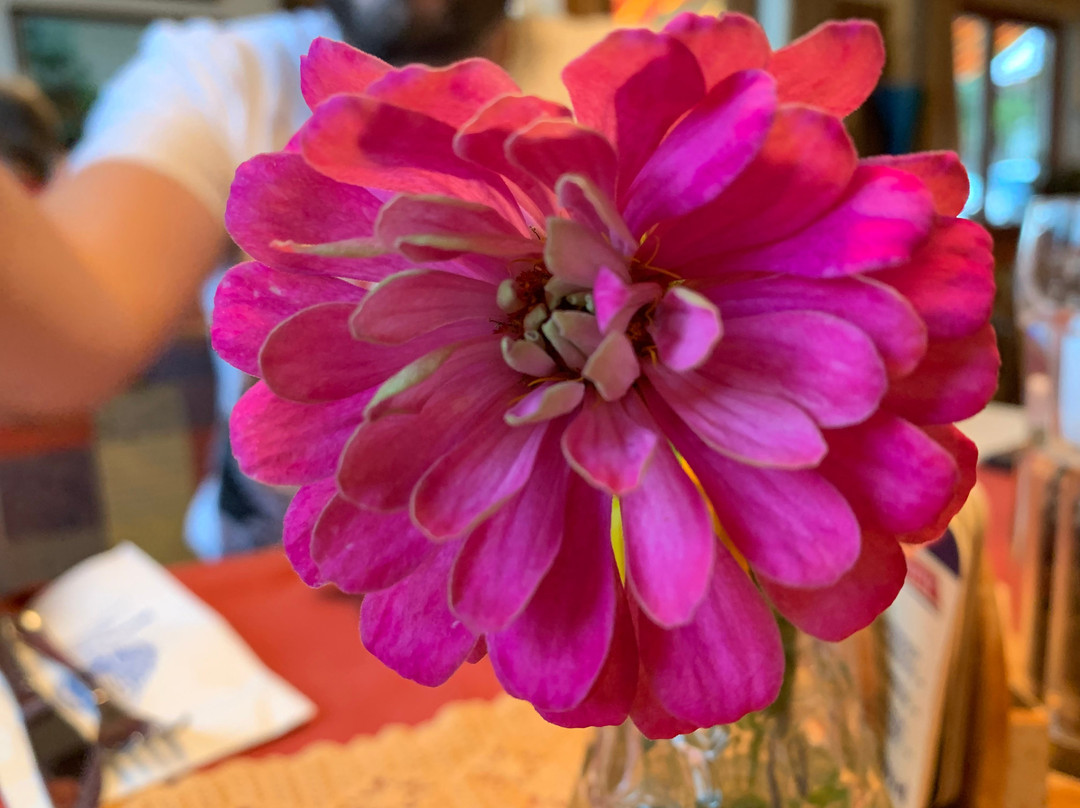 Gasthof Waldemar主图