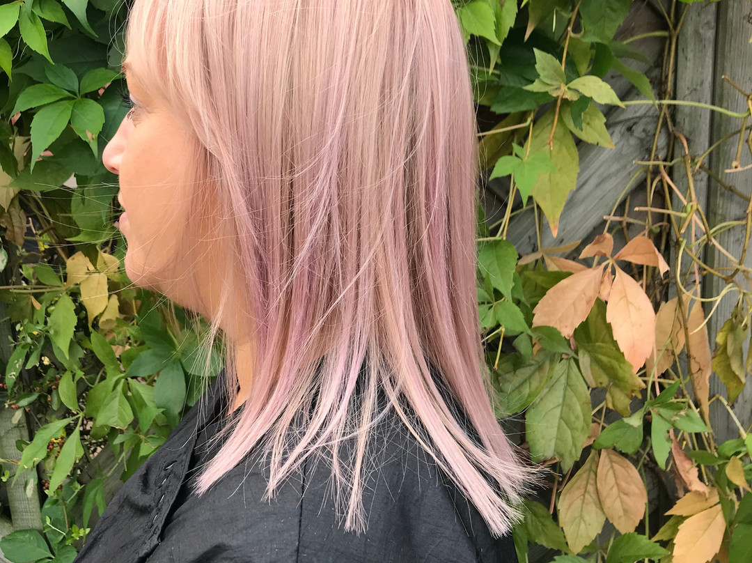 Joshua Tree Aveda Lifestyle Salon & Spa-West Bridgford必去景点