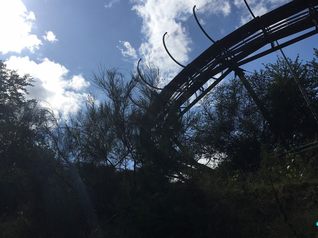 Hotel Restaurant Rodelbahn Triolago主图