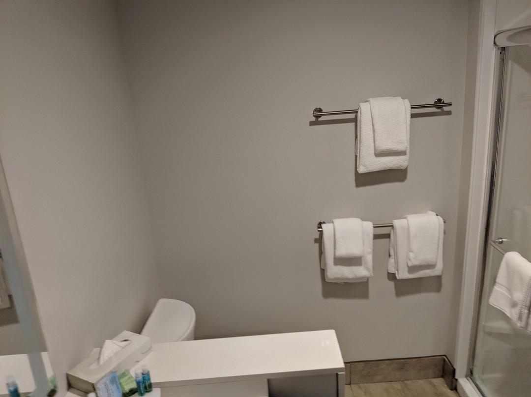 Holiday Inn Express & Suites Farmington Hills - Detroit By IHG主图