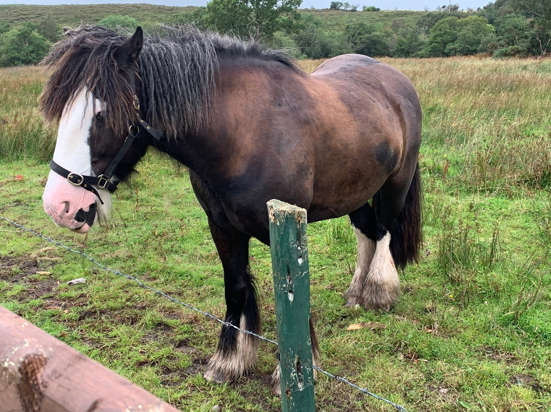 The Ferris Wheel B&B主图