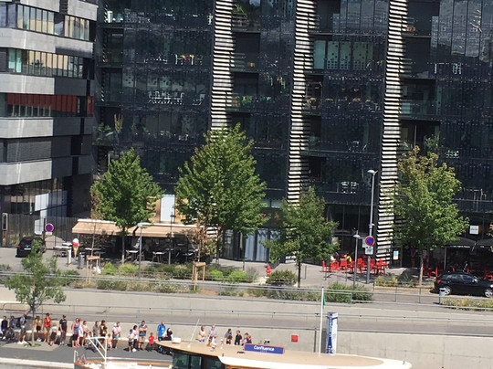 Le Vaporetto-里昂必去景点