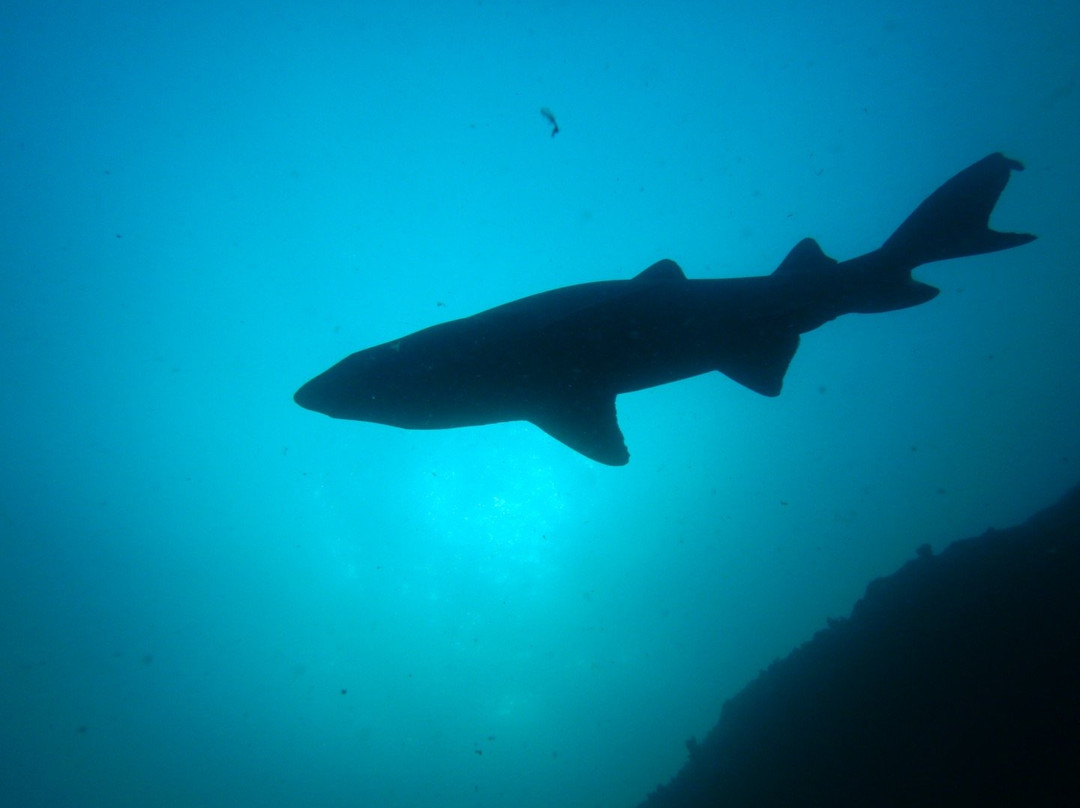 Crystal Divers-Scottburgh必去景点