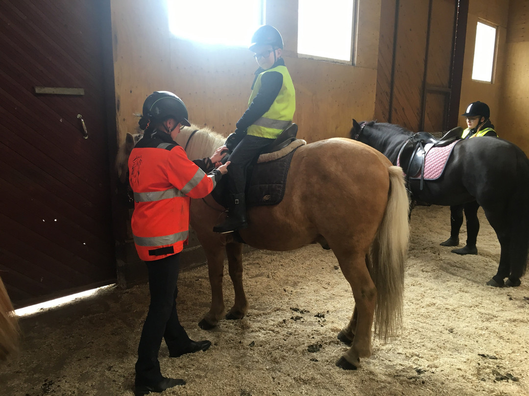 Kainuun Vaellustalli-Sotkamo必去景点