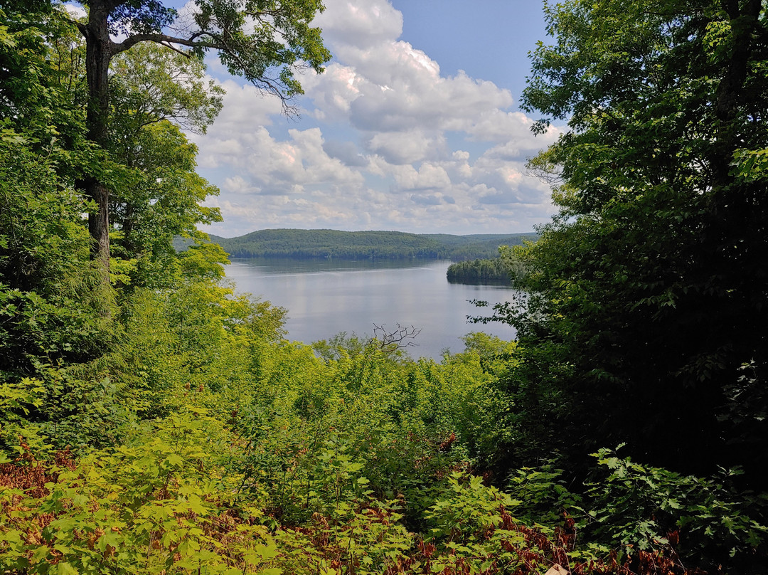 Hardwood Lookout Trail景点图片