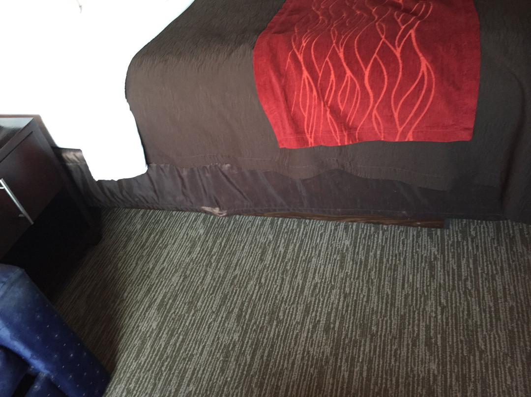 Comfort Inn & Suites主图