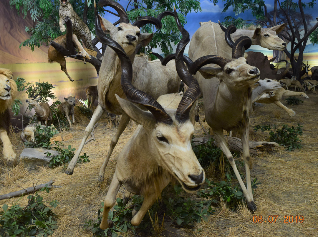 Cabela's-Hamburg必去景点