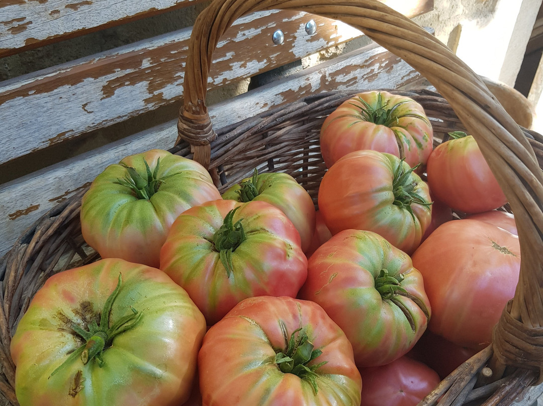 Domaine du Bois de Saint Jean-Jonquerettes必去景点