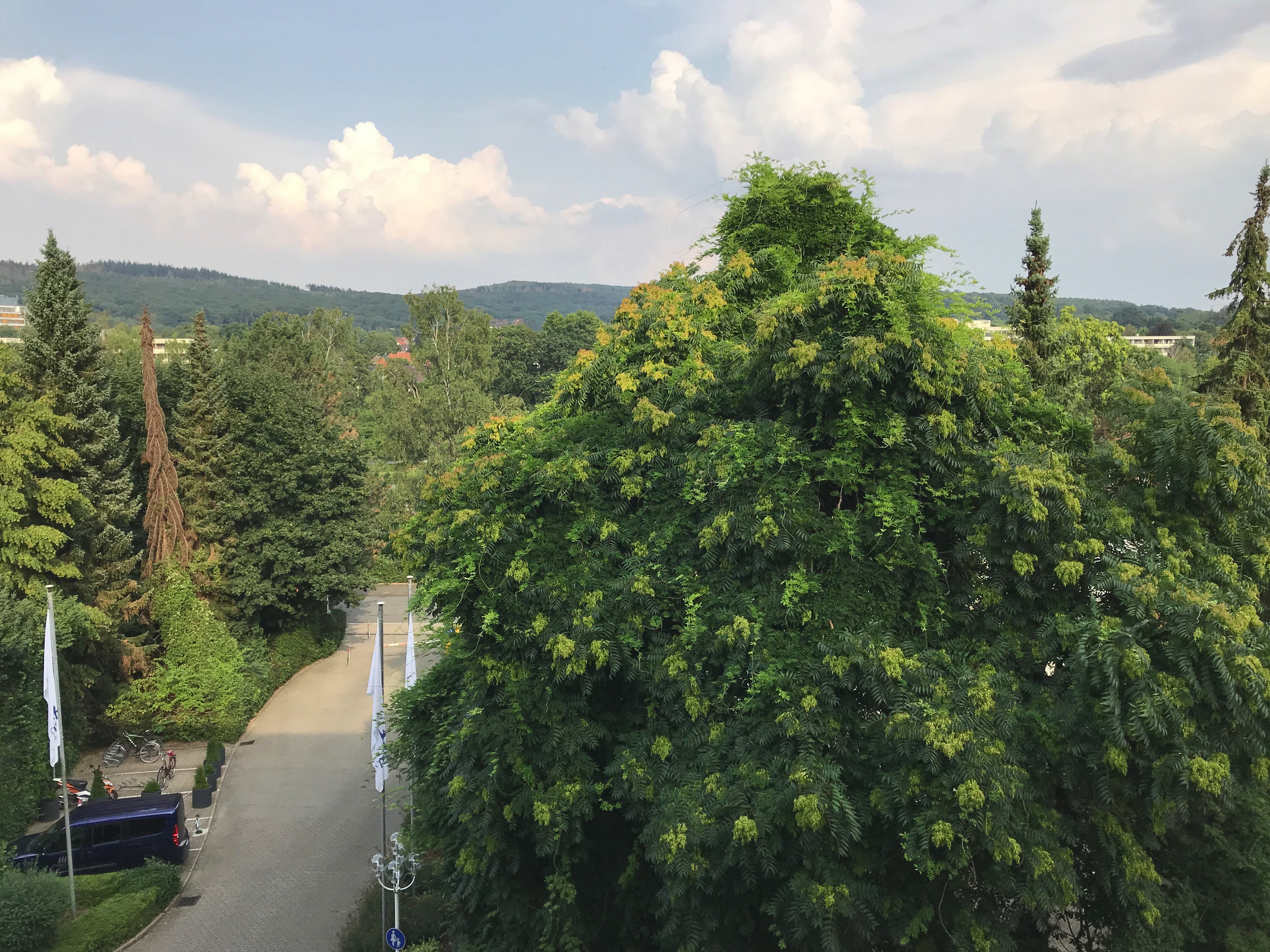 巴特萨尔楚夫伦玛丽蒂姆斯塔斯拜德酒店-酒店景观