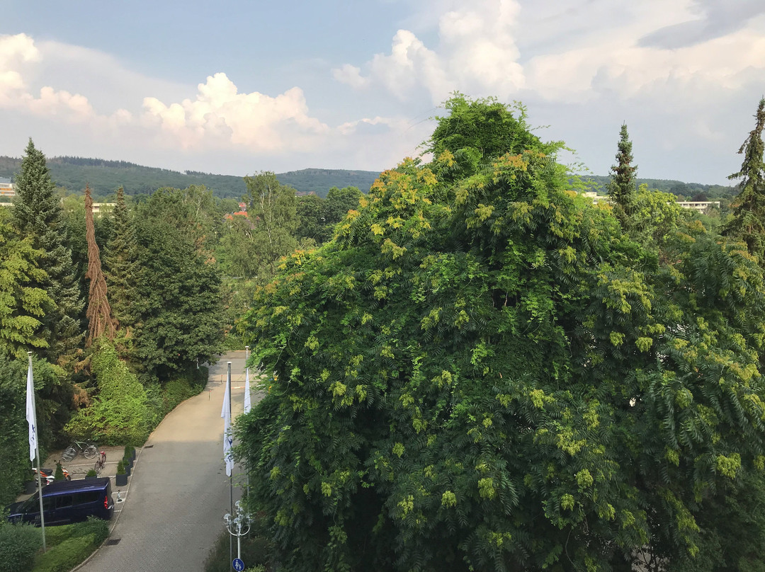 巴特萨尔楚夫伦玛丽蒂姆斯塔斯拜德酒店主图