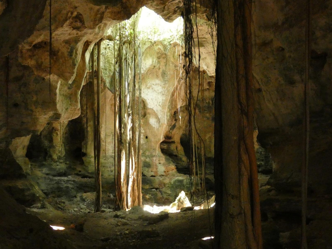 Cathedral Cave (Spider Cave)景点图片