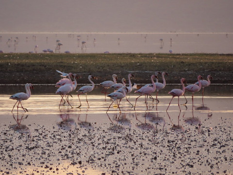 Rift Valley Photographic Lodge主图