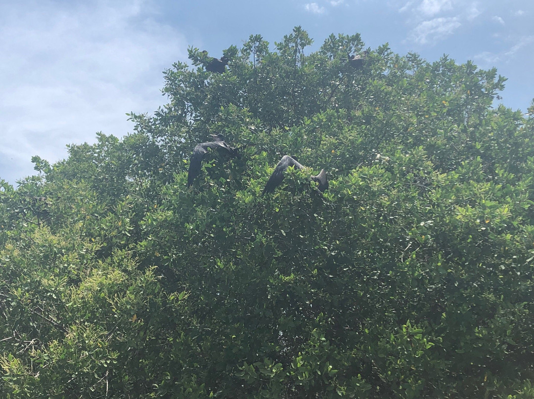 El Tortugario-Cuyutlan必去景点