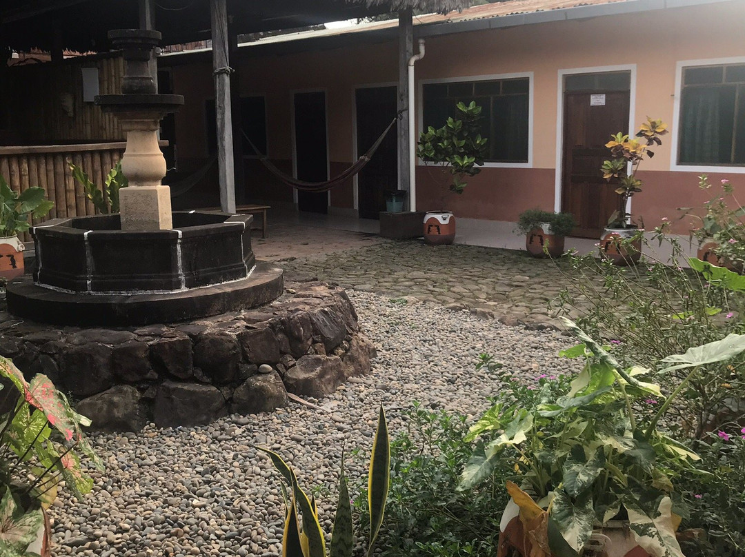 Los Tucanes de Rurre主图