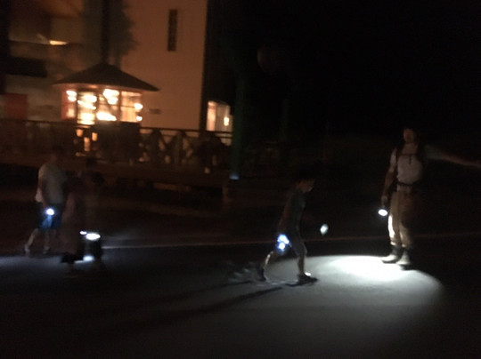 Resort Inn Larry主图