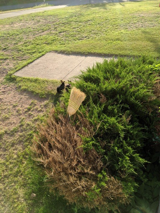 Thunder Bay Inn主图