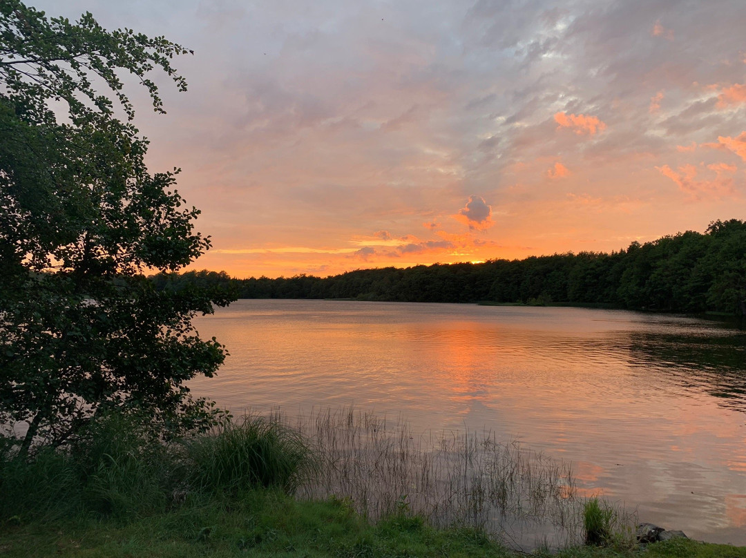 Dagstorpssjön – Västra badplatsen景点图片