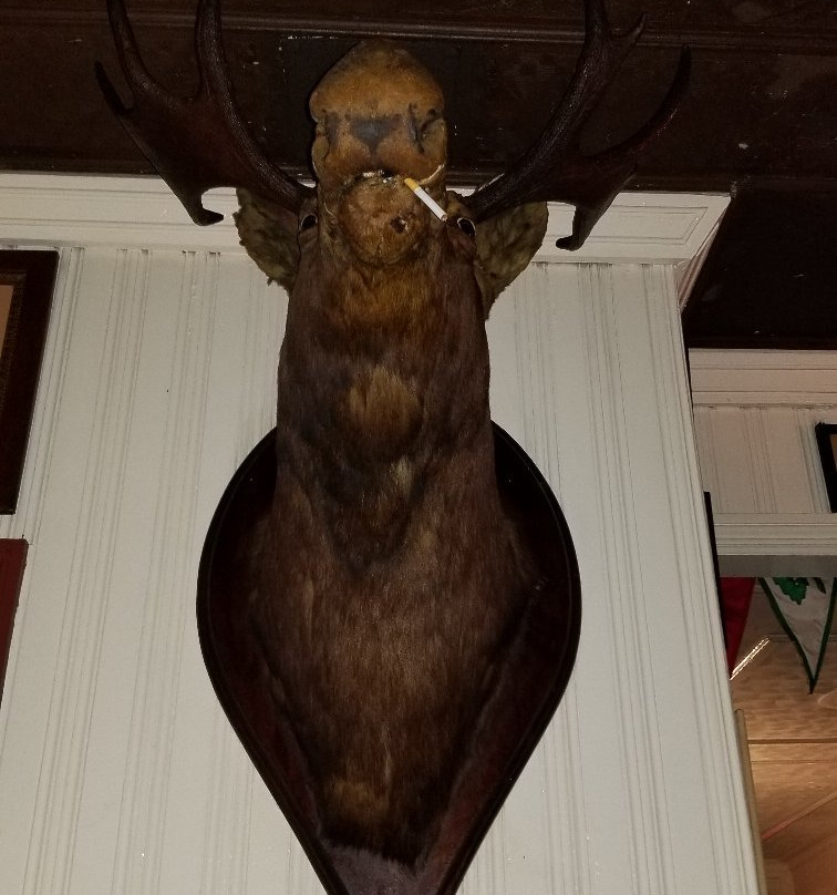 The American Hotel主图