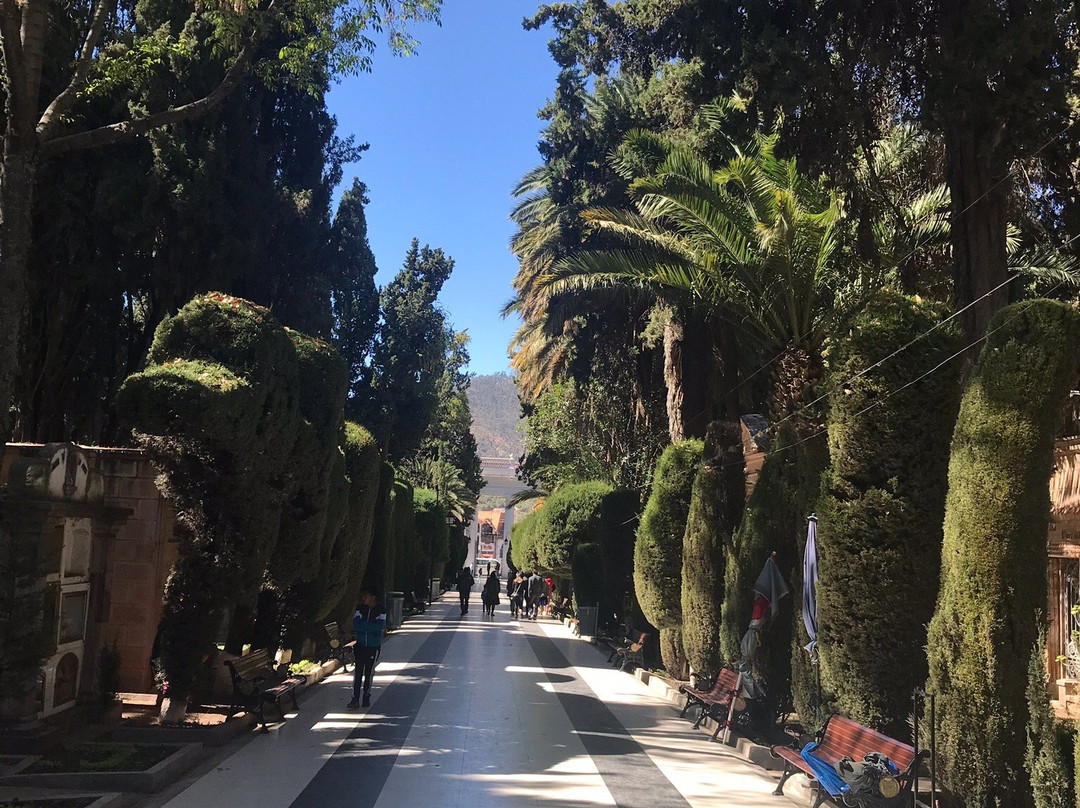 General Cemetery-苏克雷必去景点